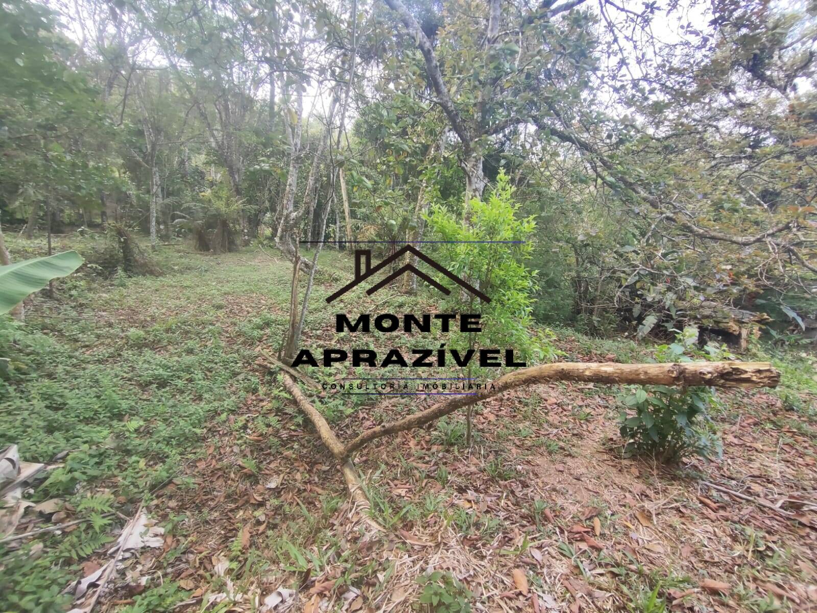 Chácara, 2 quartos, 4480 m² - Foto 12