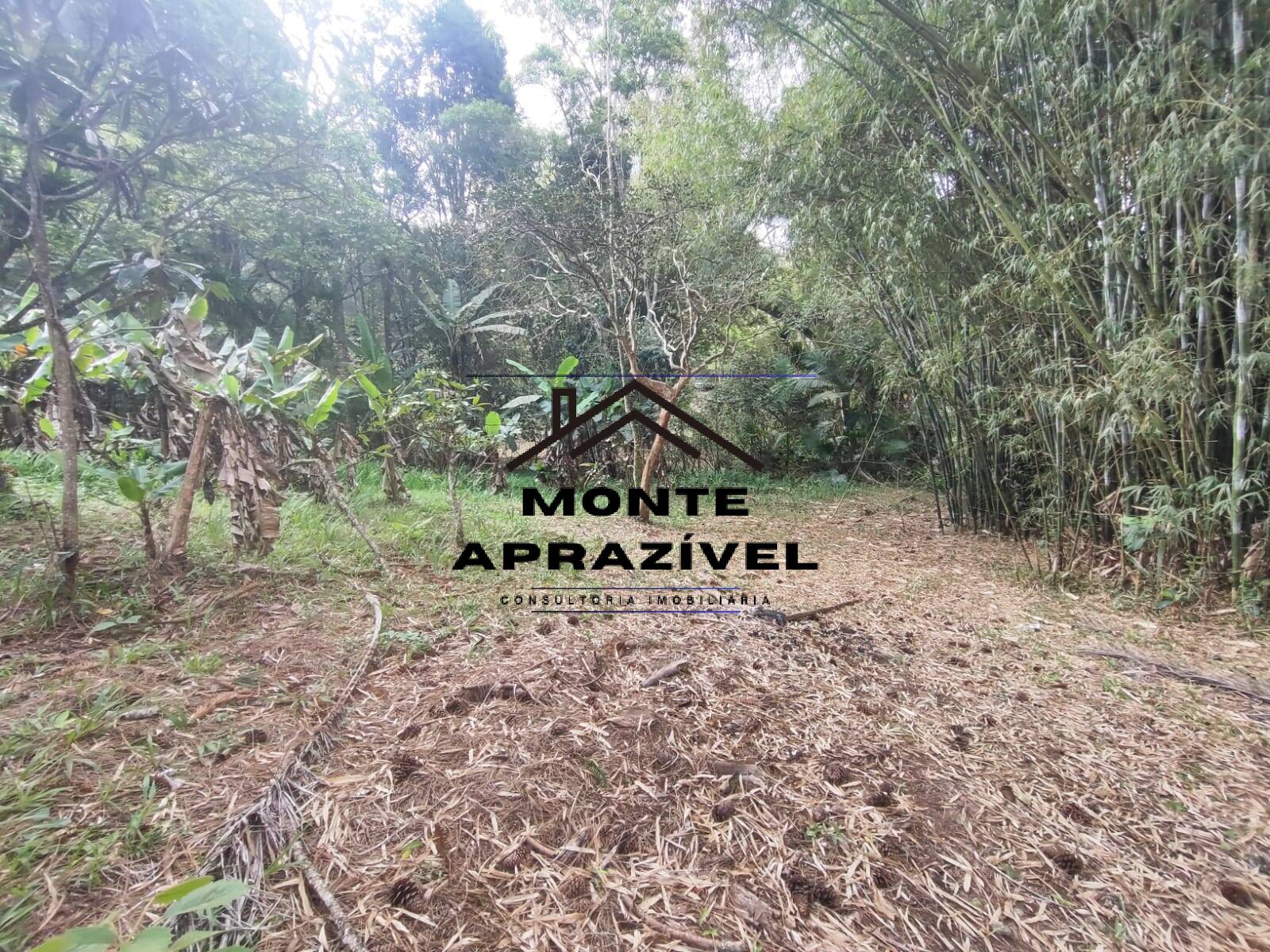 Chácara, 2 quartos, 4480 m² - Foto 16