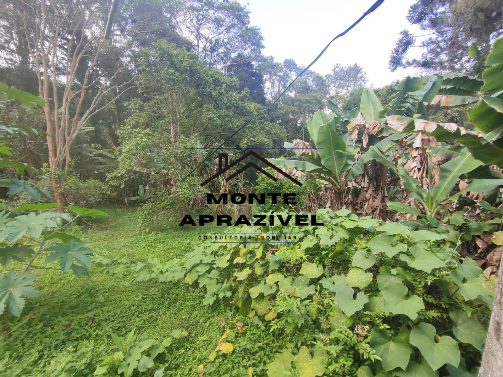 Chácara, 2 quartos, 4480 m² - Foto 14