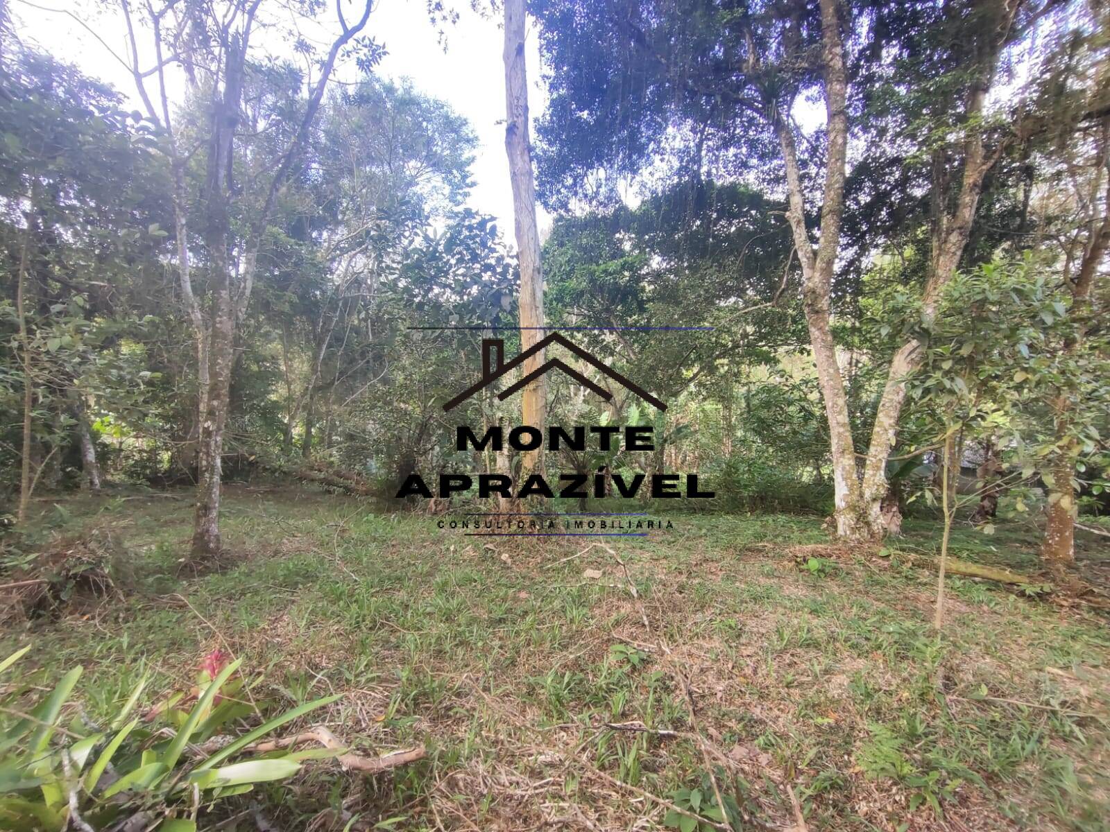 Chácara, 2 quartos, 4480 m² - Foto 18