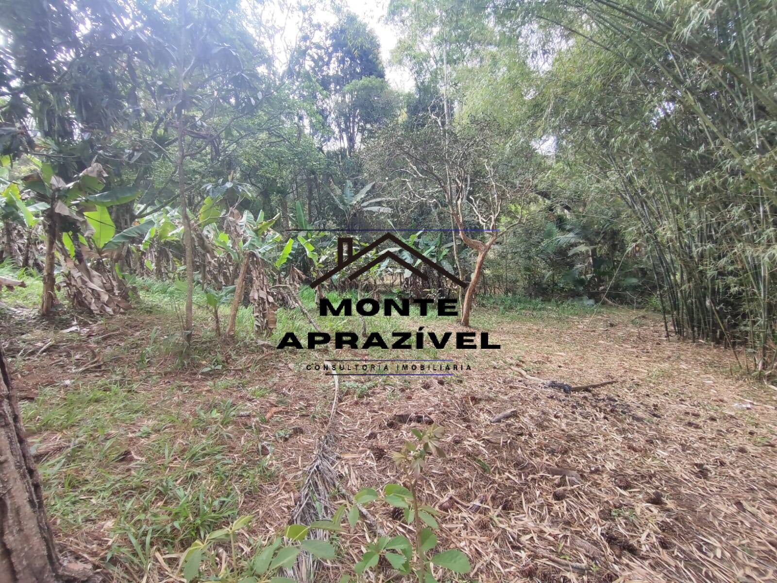 Chácara, 2 quartos, 4480 m² - Foto 17