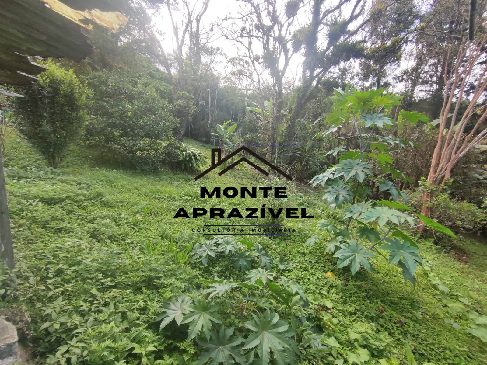 Chácara, 2 quartos, 4480 m² - Foto 20