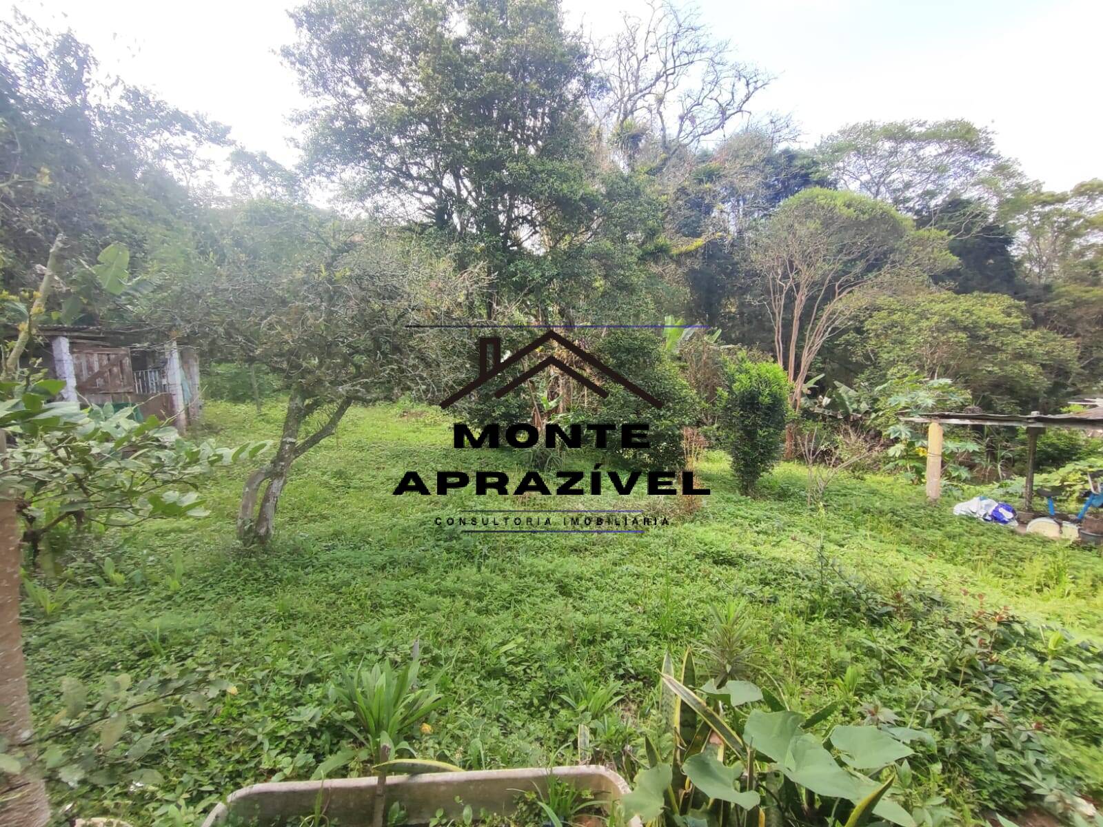 Chácara, 2 quartos, 4480 m² - Foto 21