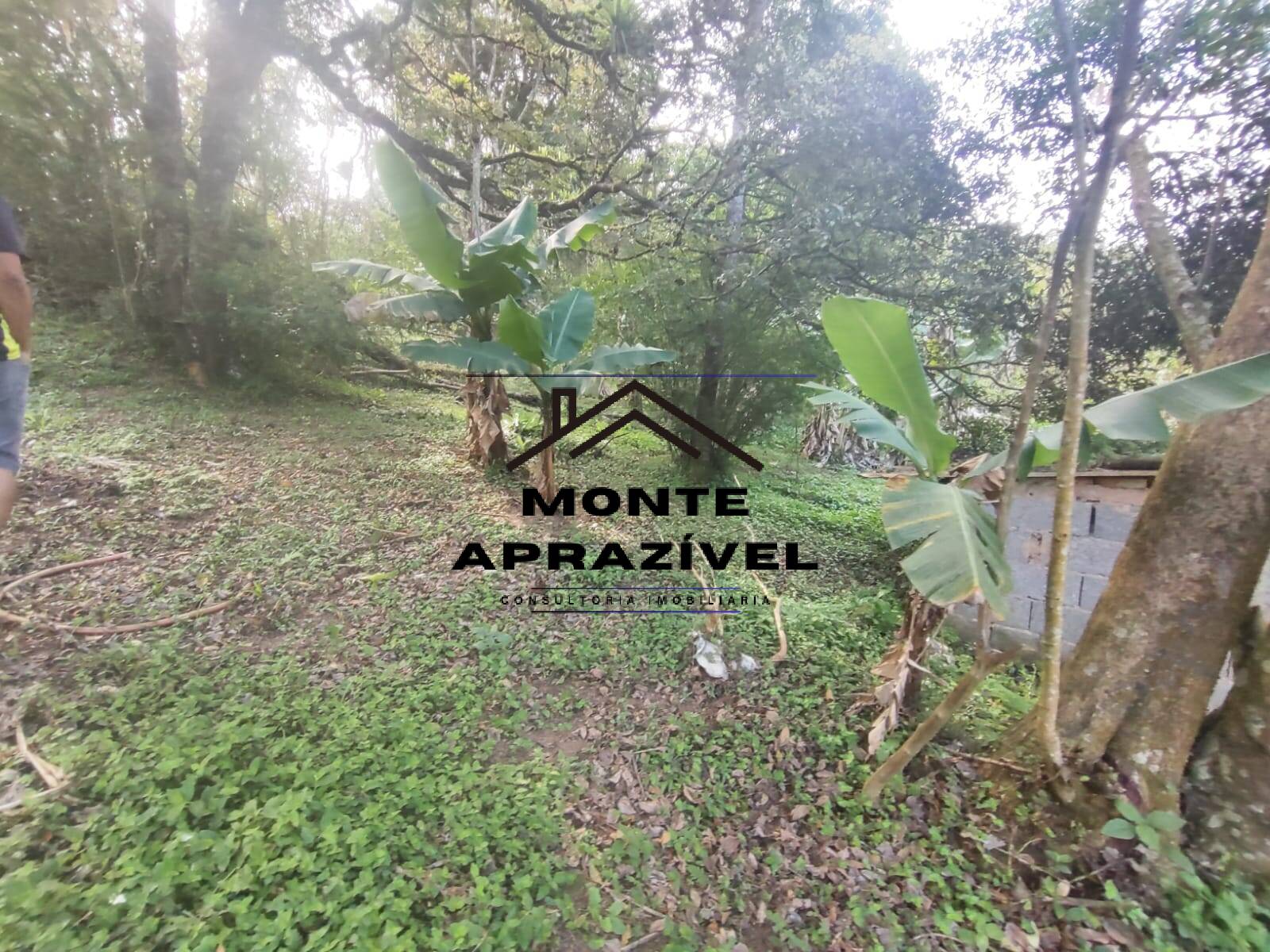 Chácara, 2 quartos, 4480 m² - Foto 22