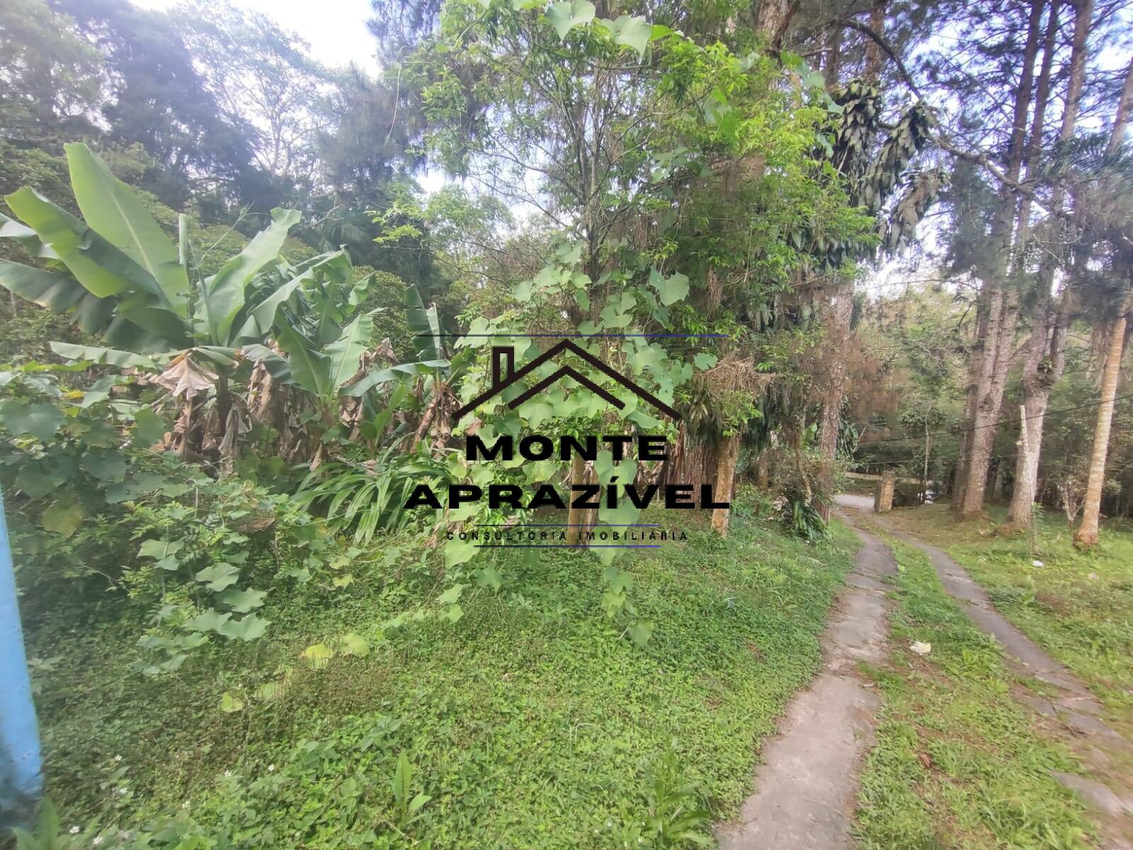 Chácara, 2 quartos, 4480 m² - Foto 23