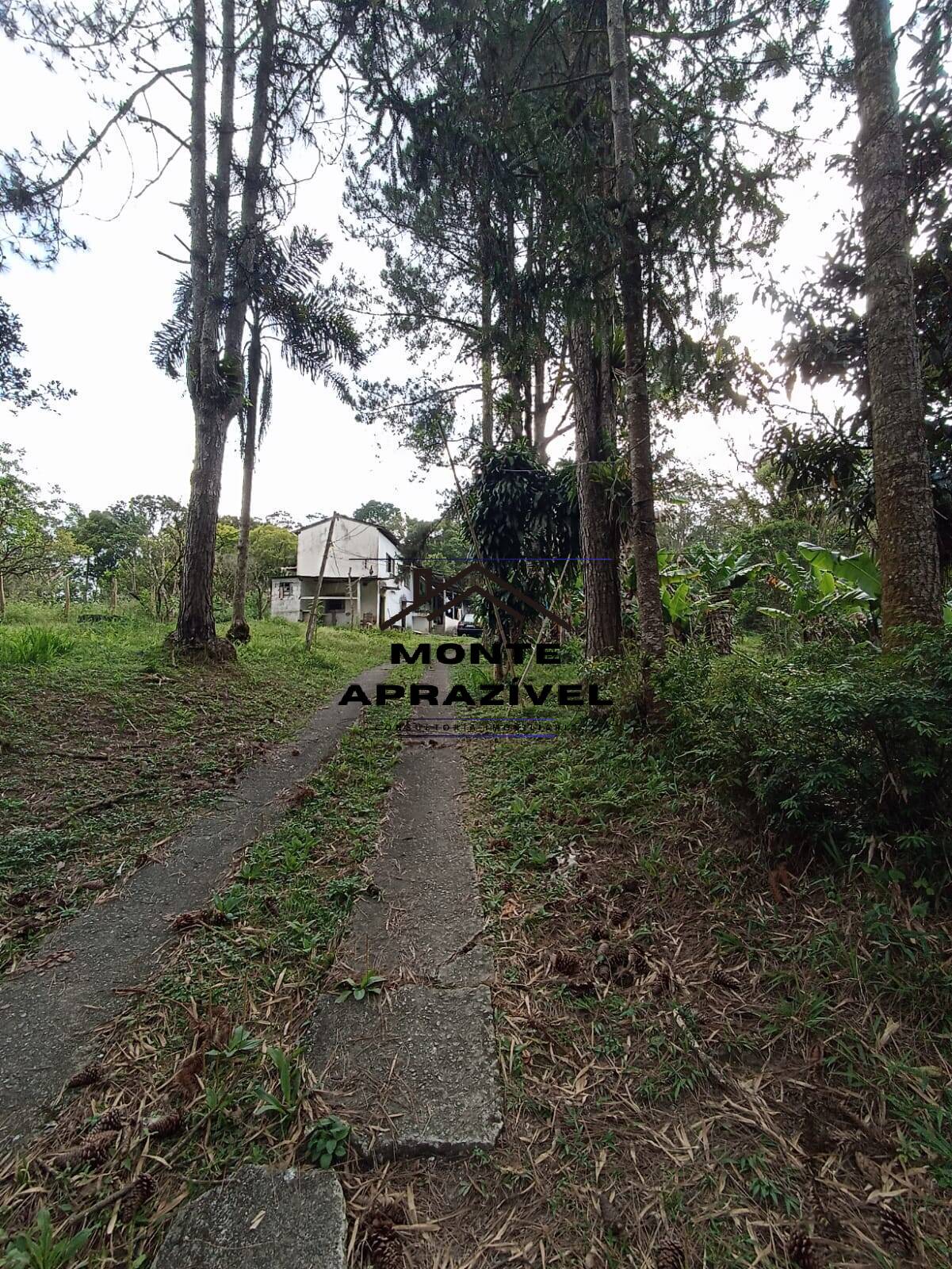 Chácara, 2 quartos, 4480 m² - Foto 1