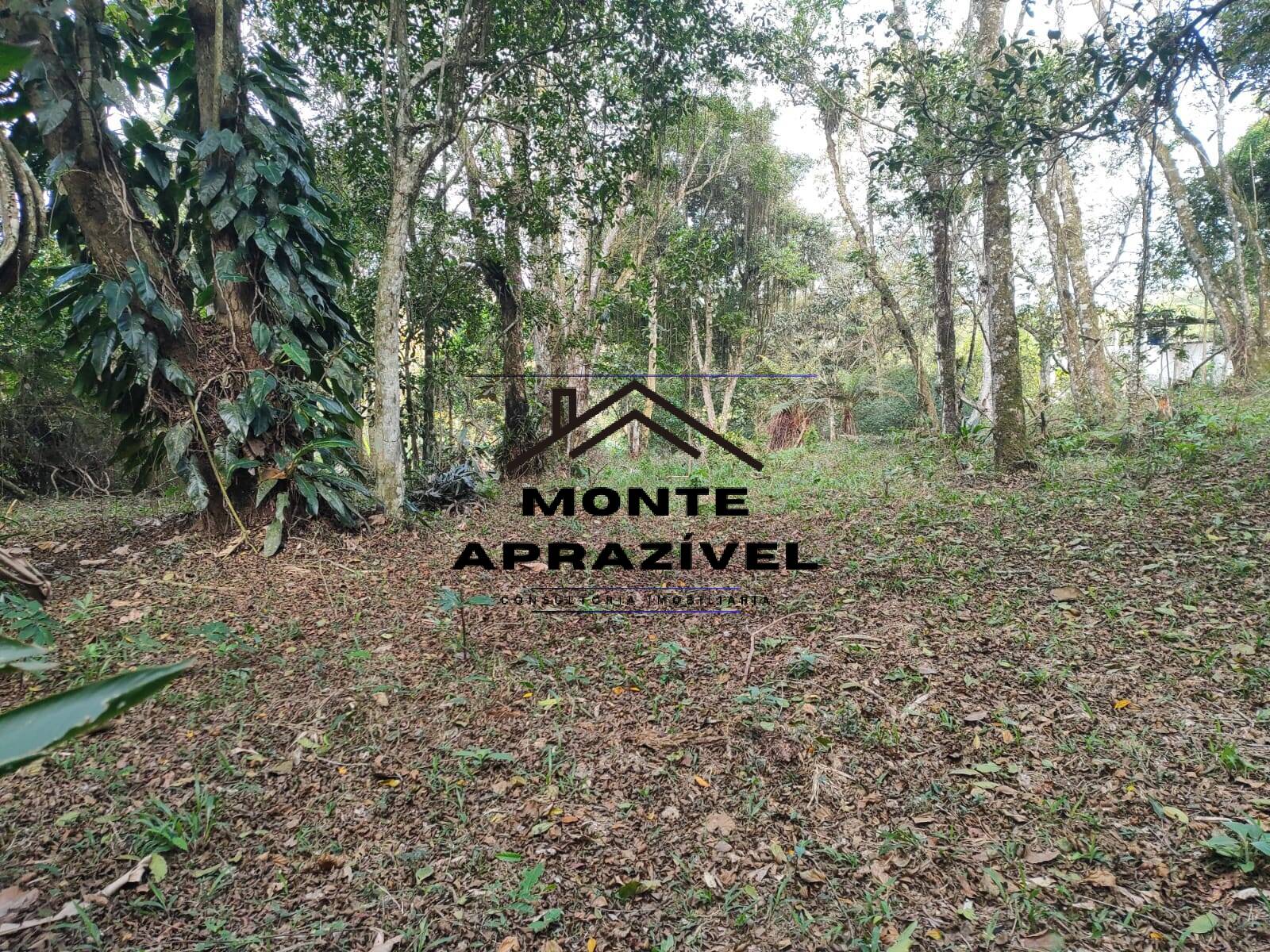 Chácara, 2 quartos, 4480 m² - Foto 25