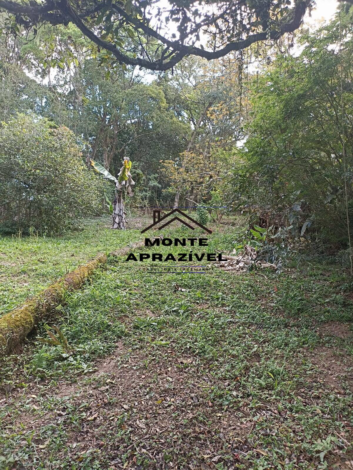 Chácara, 2 quartos, 4480 m² - Foto 27