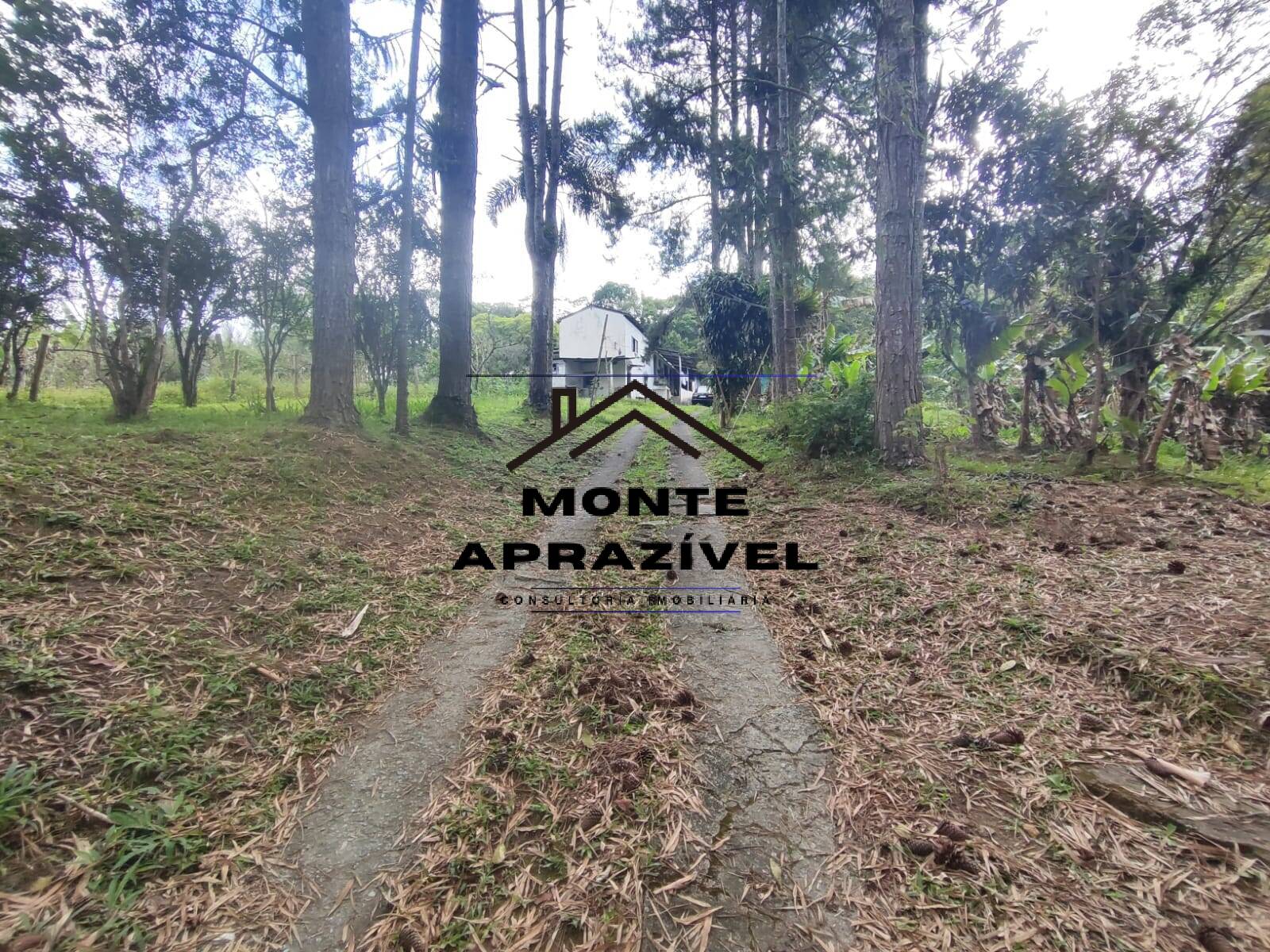 Chácara, 2 quartos, 4480 m² - Foto 28