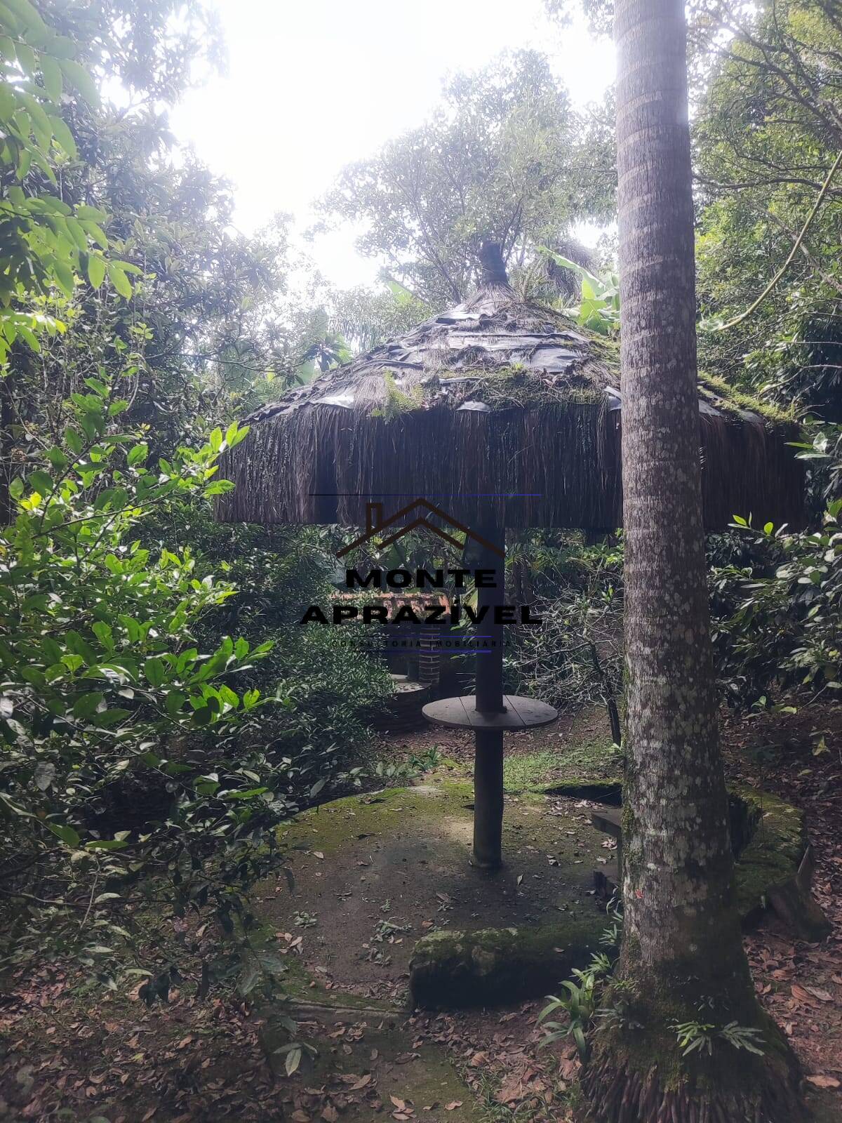 Chácara, 3 quartos, 1957 m² - Foto 22