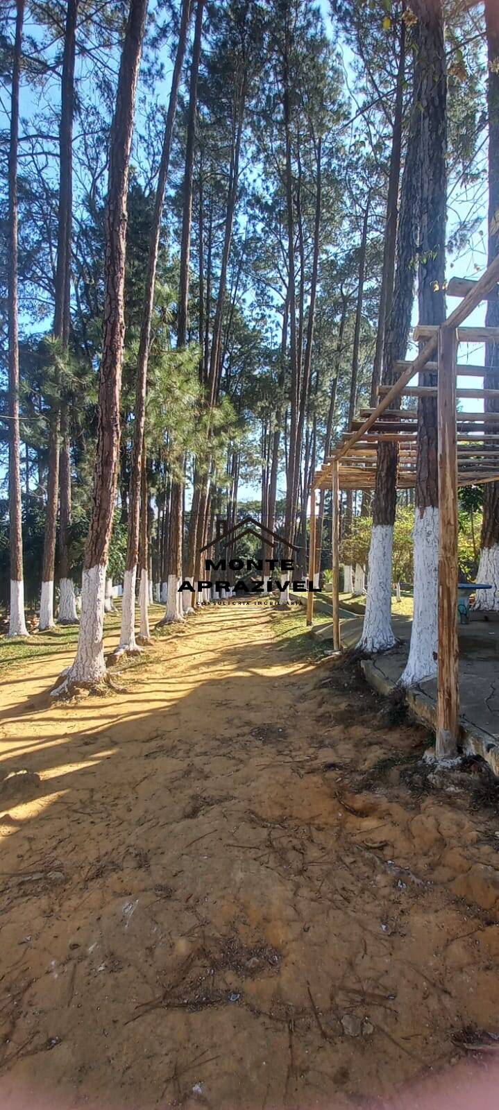 Sítio, 10 quartos, 2 hectares - Foto 10