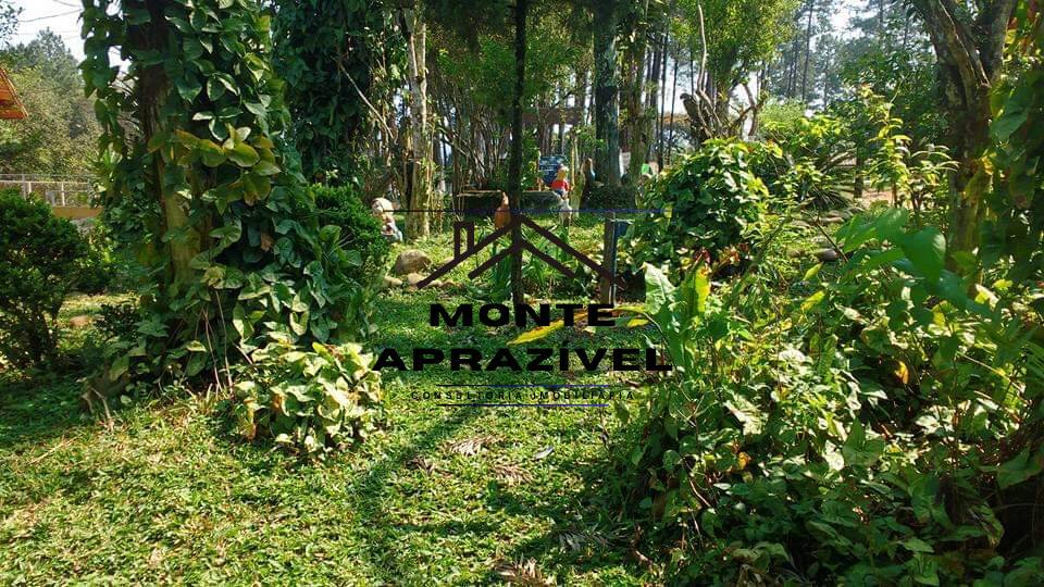 Sítio, 10 quartos, 2 hectares - Foto 25