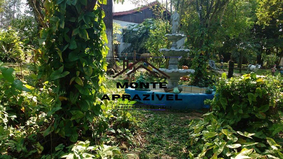 Sítio, 10 quartos, 2 hectares - Foto 29