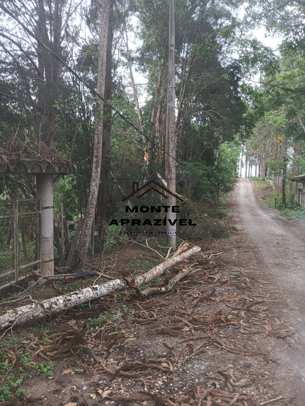 Terreno, 1 hectares - Foto 3