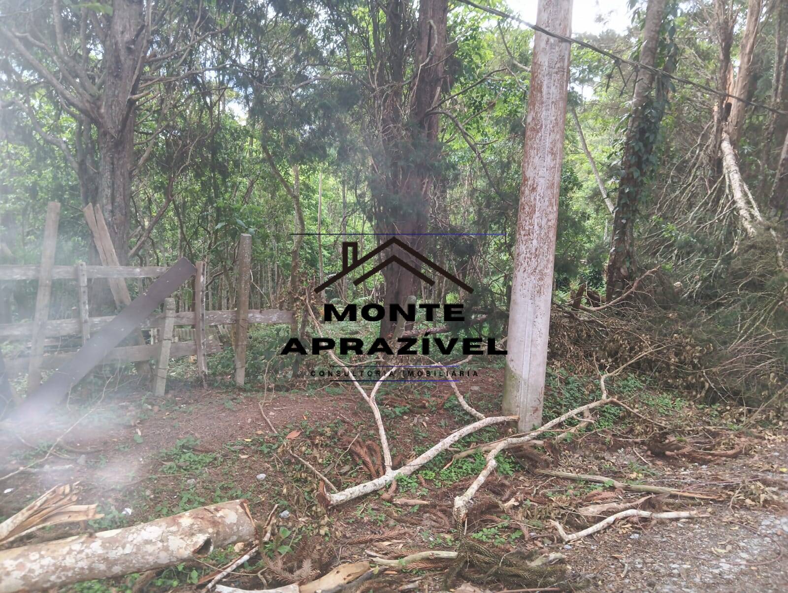 Terreno, 1 hectares - Foto 2