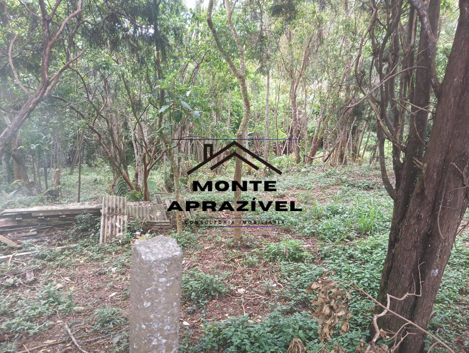 Terreno, 1 hectares - Foto 5