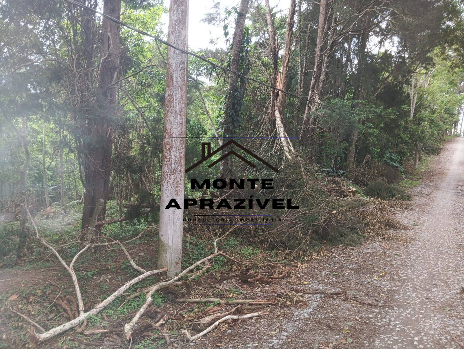 Terreno, 1 hectares - Foto 6