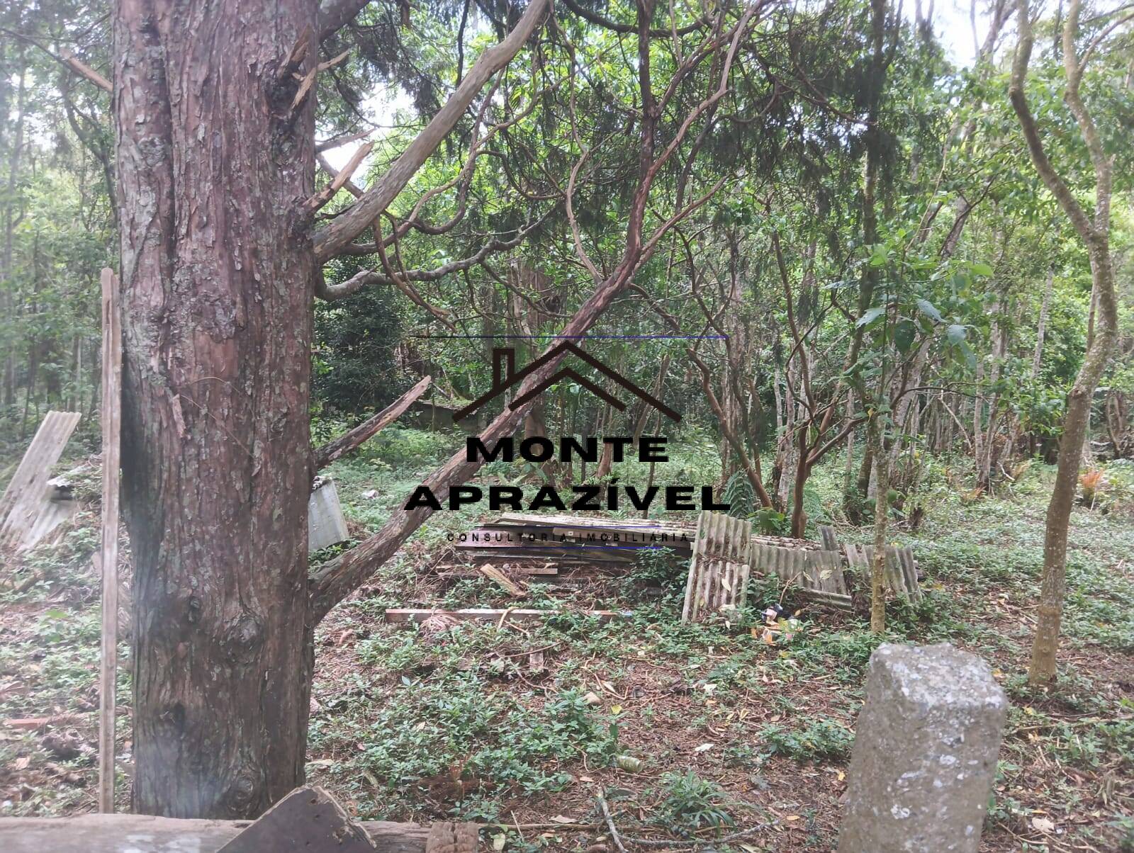 Terreno, 1 hectares - Foto 7