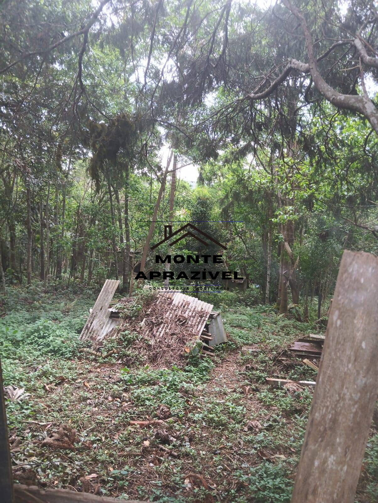 Terreno, 1 hectares - Foto 8