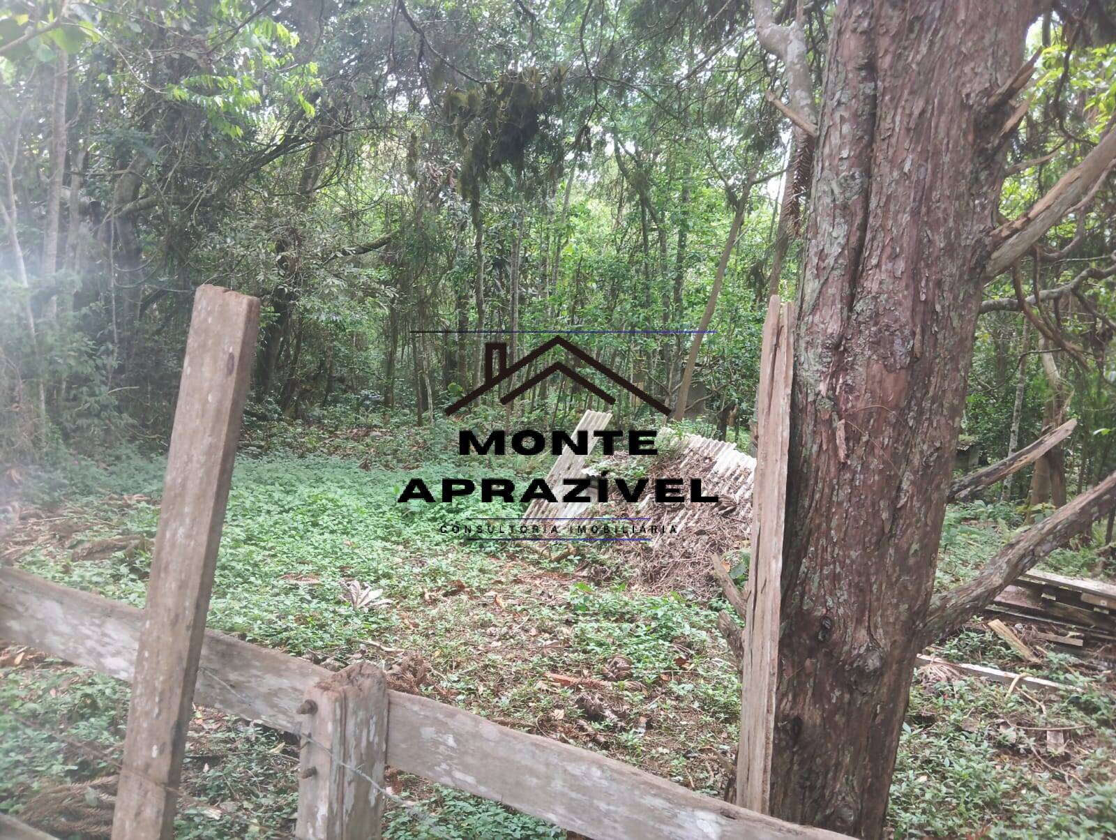 Terreno, 1 hectares - Foto 11