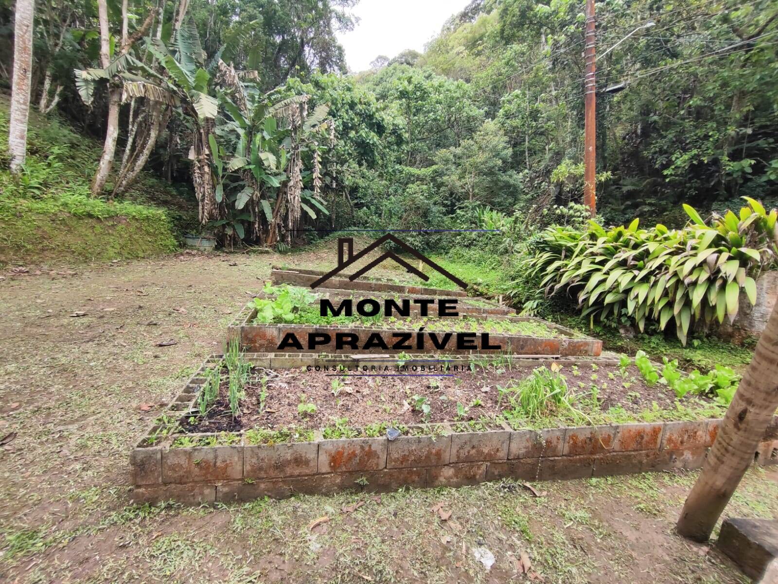 Chácara, 2 quartos, 7550 m² - Foto 6