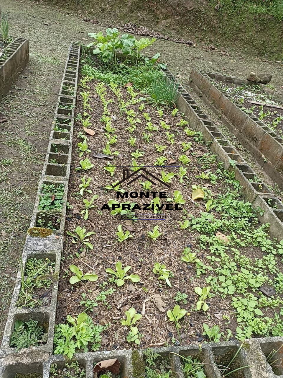 Chácara, 2 quartos, 7550 m² - Foto 7