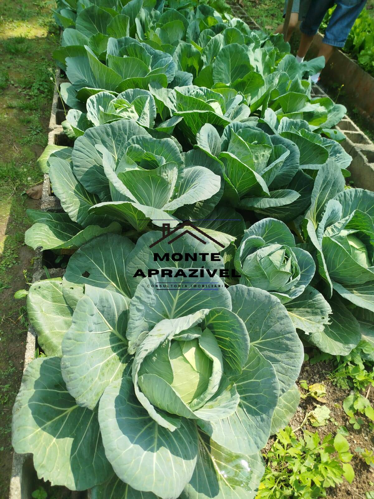 Chácara, 2 quartos, 7550 m² - Foto 42