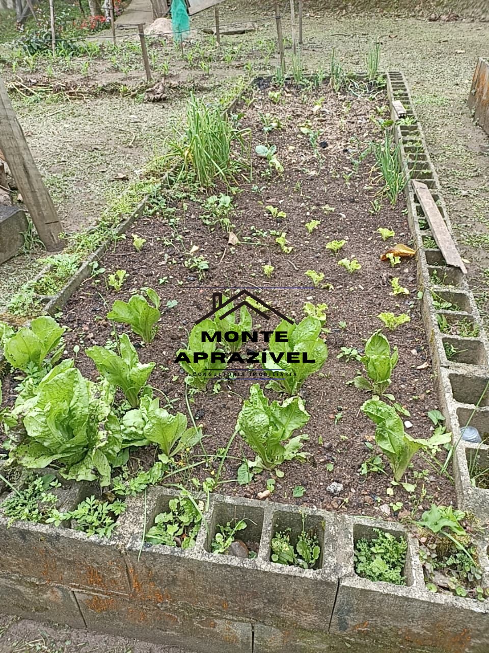 Chácara, 2 quartos, 7550 m² - Foto 44