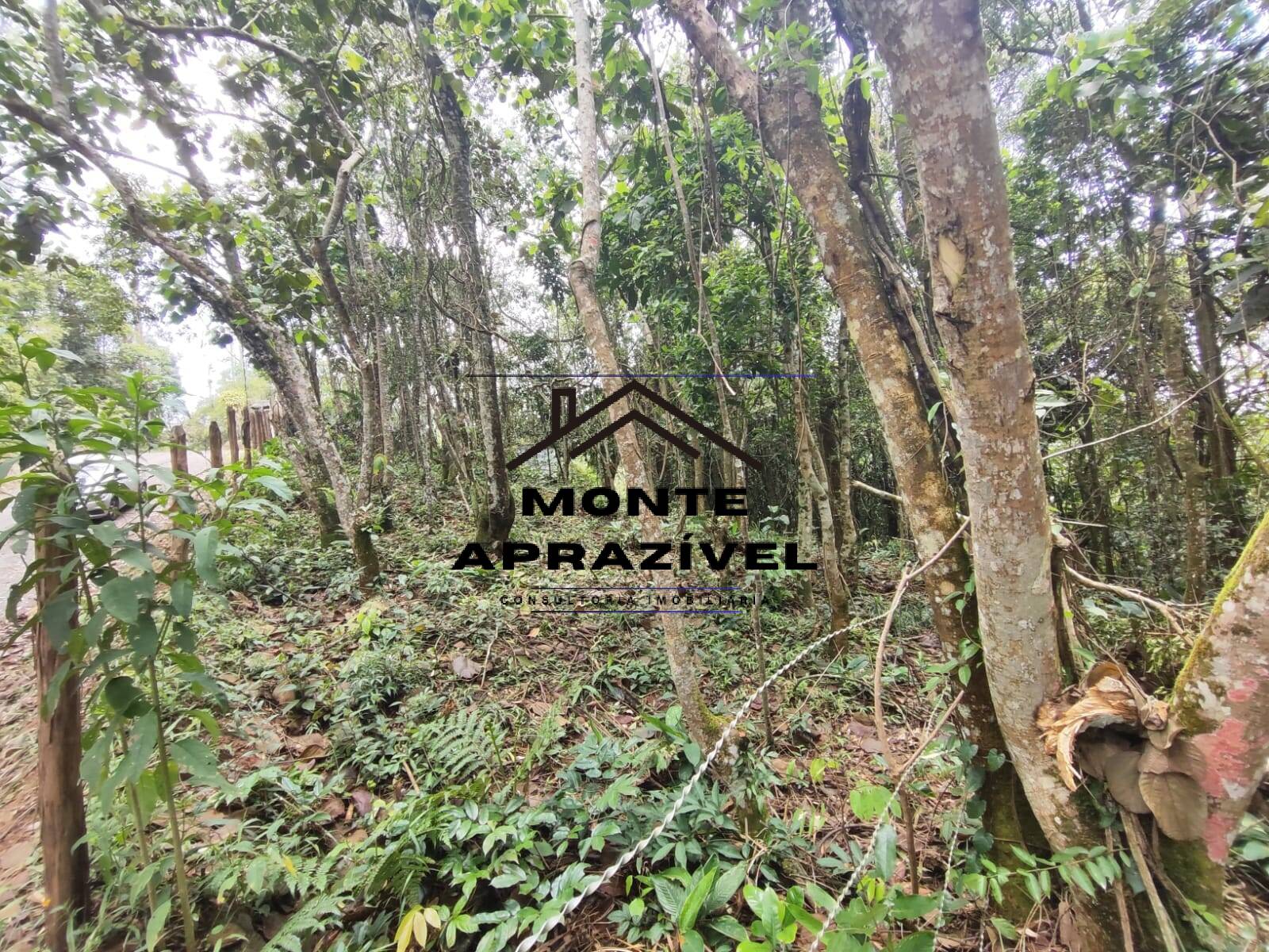 Terreno, 2500 m² - Foto 4