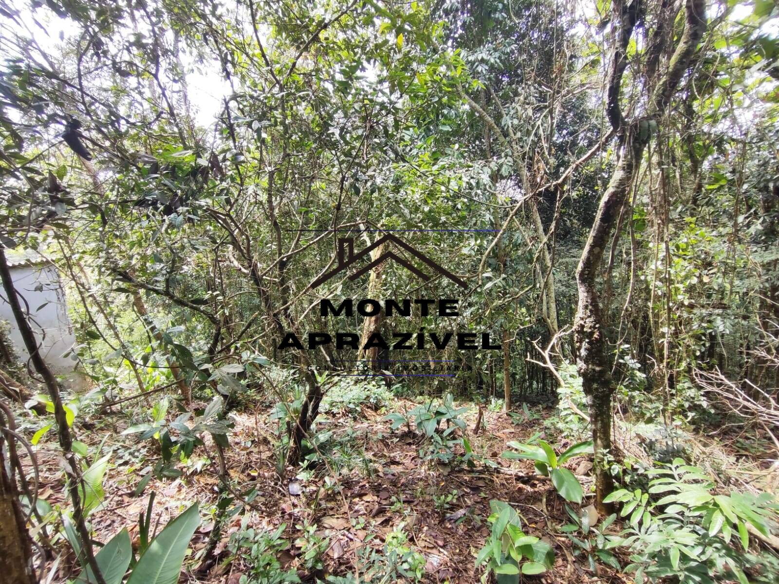 Terreno, 2500 m² - Foto 7