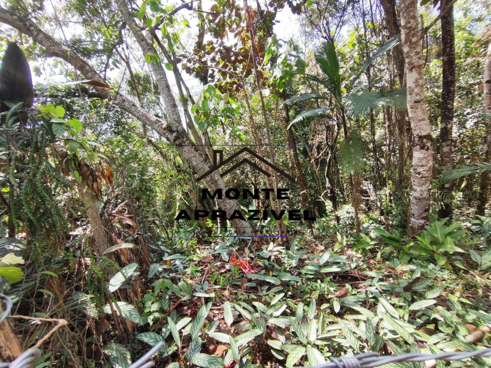 Terreno, 2500 m² - Foto 8