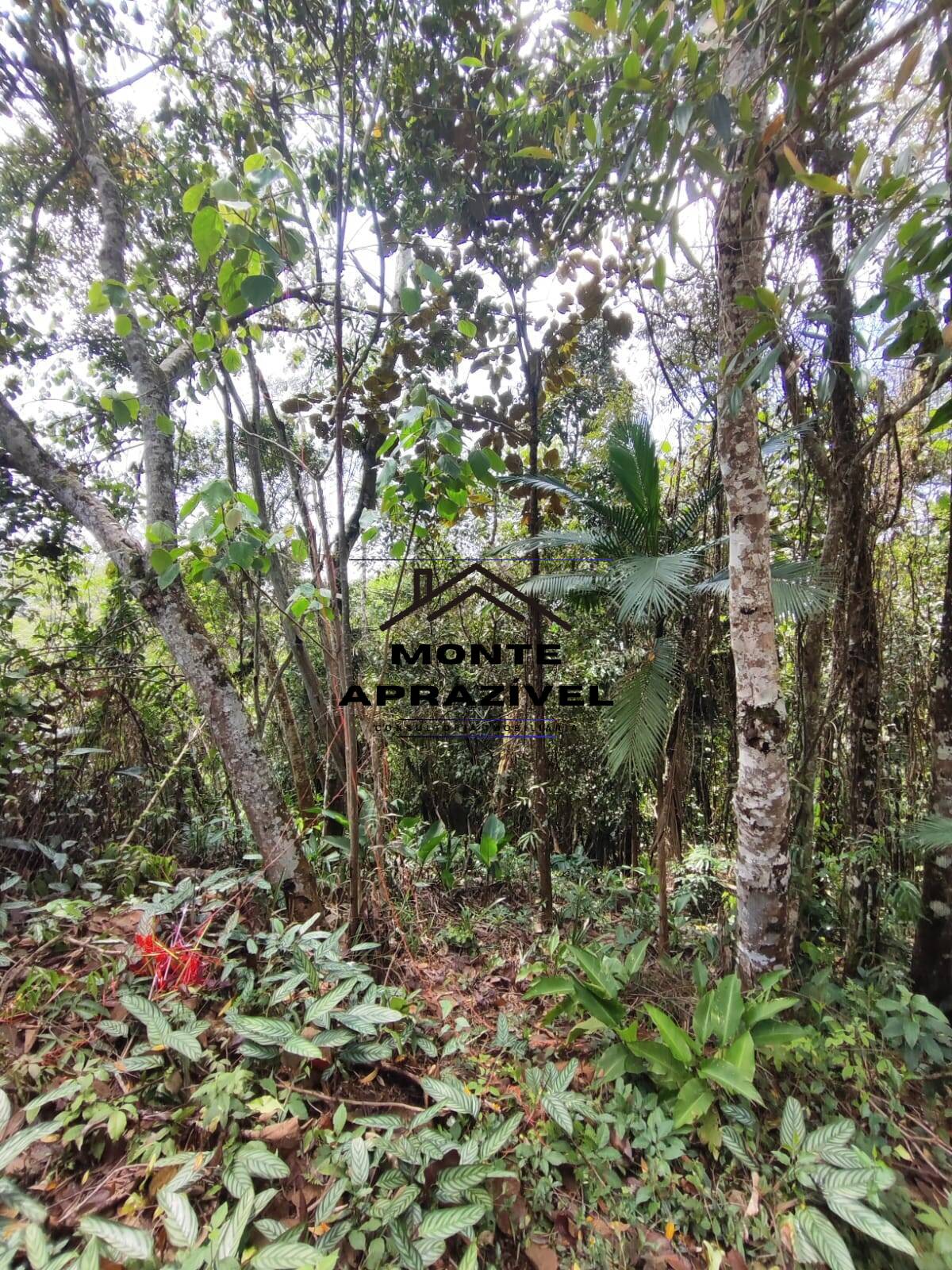 Terreno, 2500 m² - Foto 11