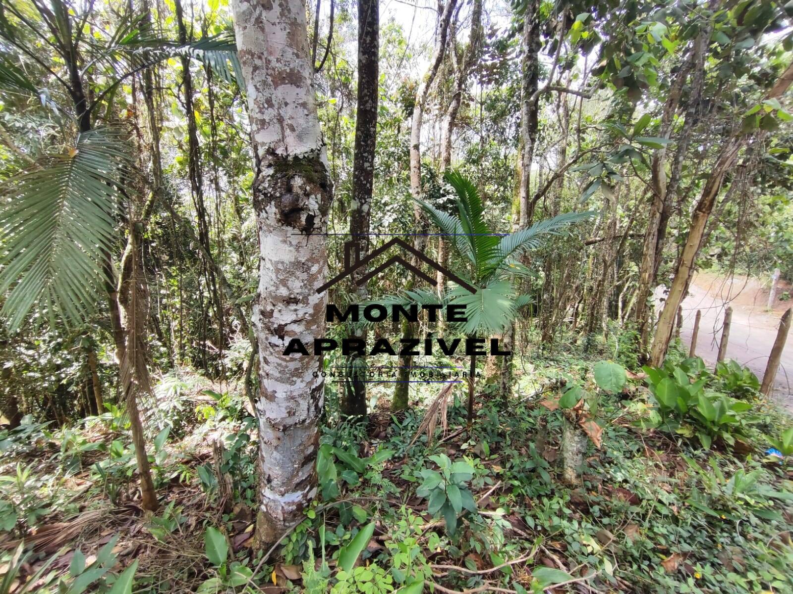 Terreno, 2500 m² - Foto 13