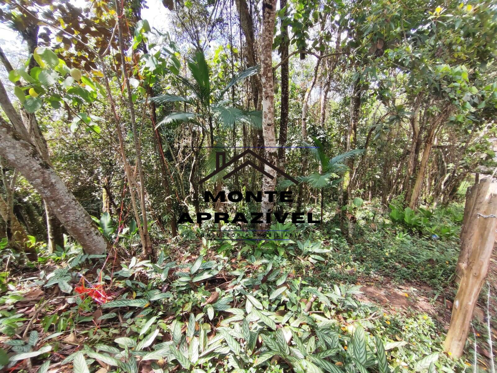 Terreno, 2500 m² - Foto 15