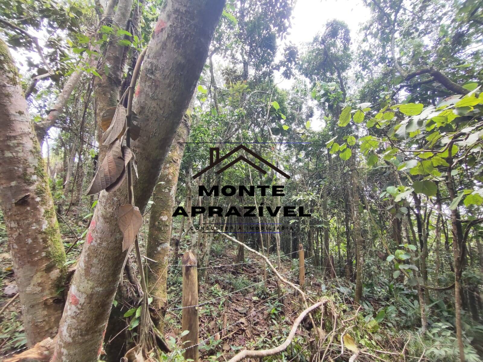 Terreno, 2500 m² - Foto 14