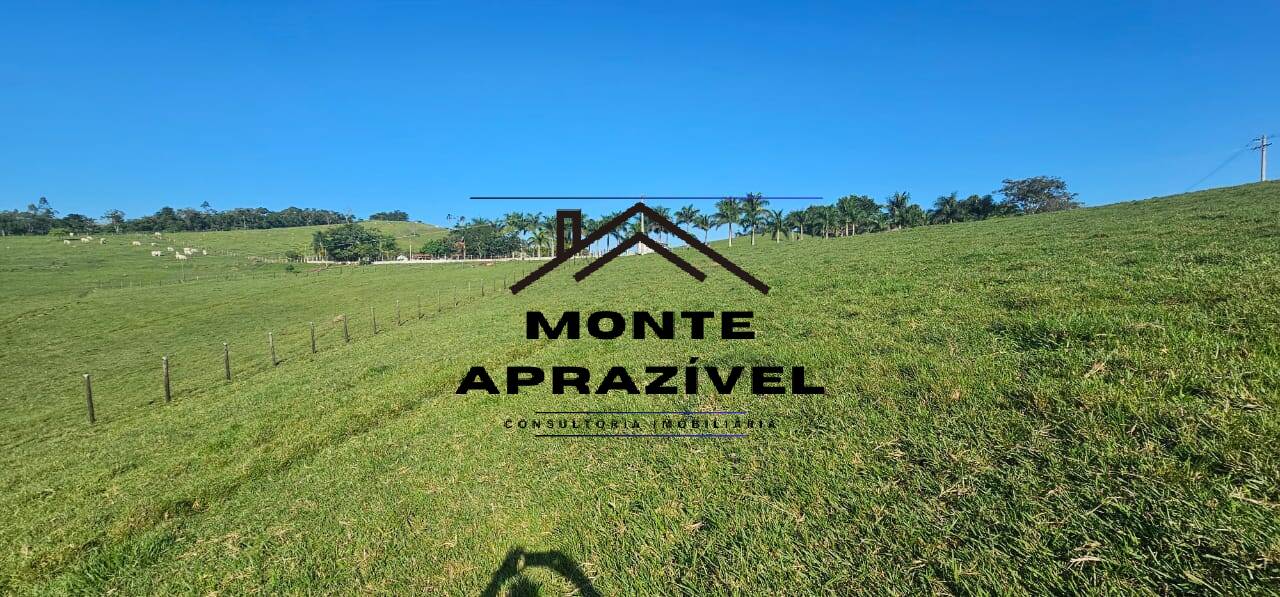 Sítio, 6 quartos, 24 hectares - Foto 6