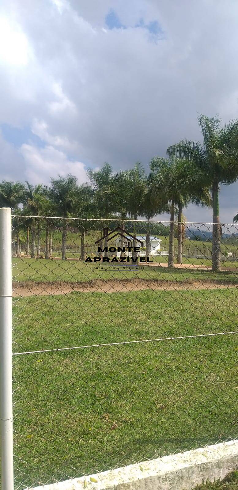 Sítio, 6 quartos, 24 hectares - Foto 7