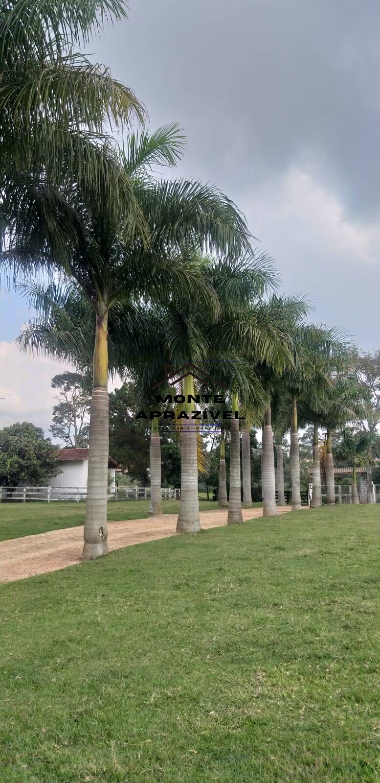 Sítio, 6 quartos, 24 hectares - Foto 13