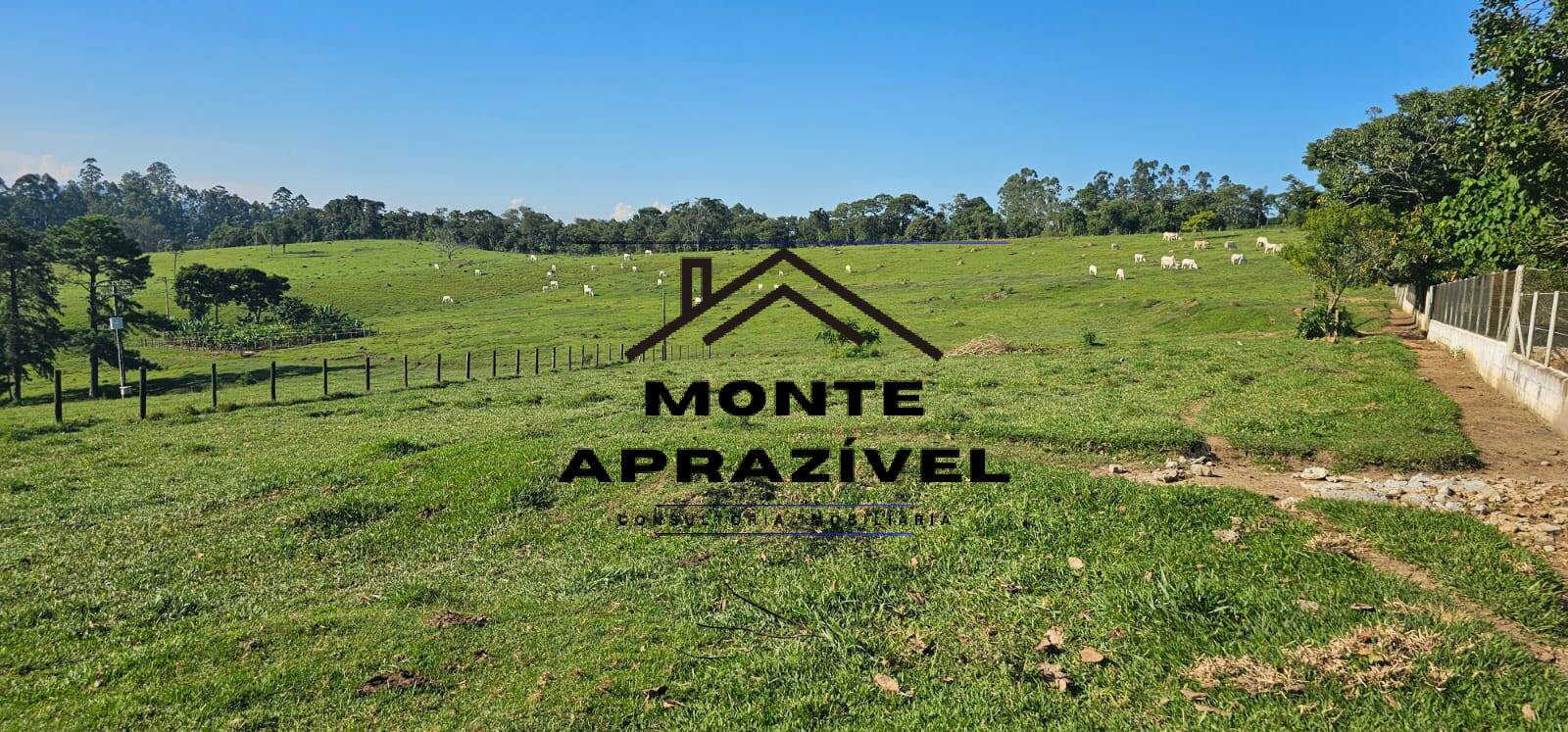 Sítio, 6 quartos, 24 hectares - Foto 20