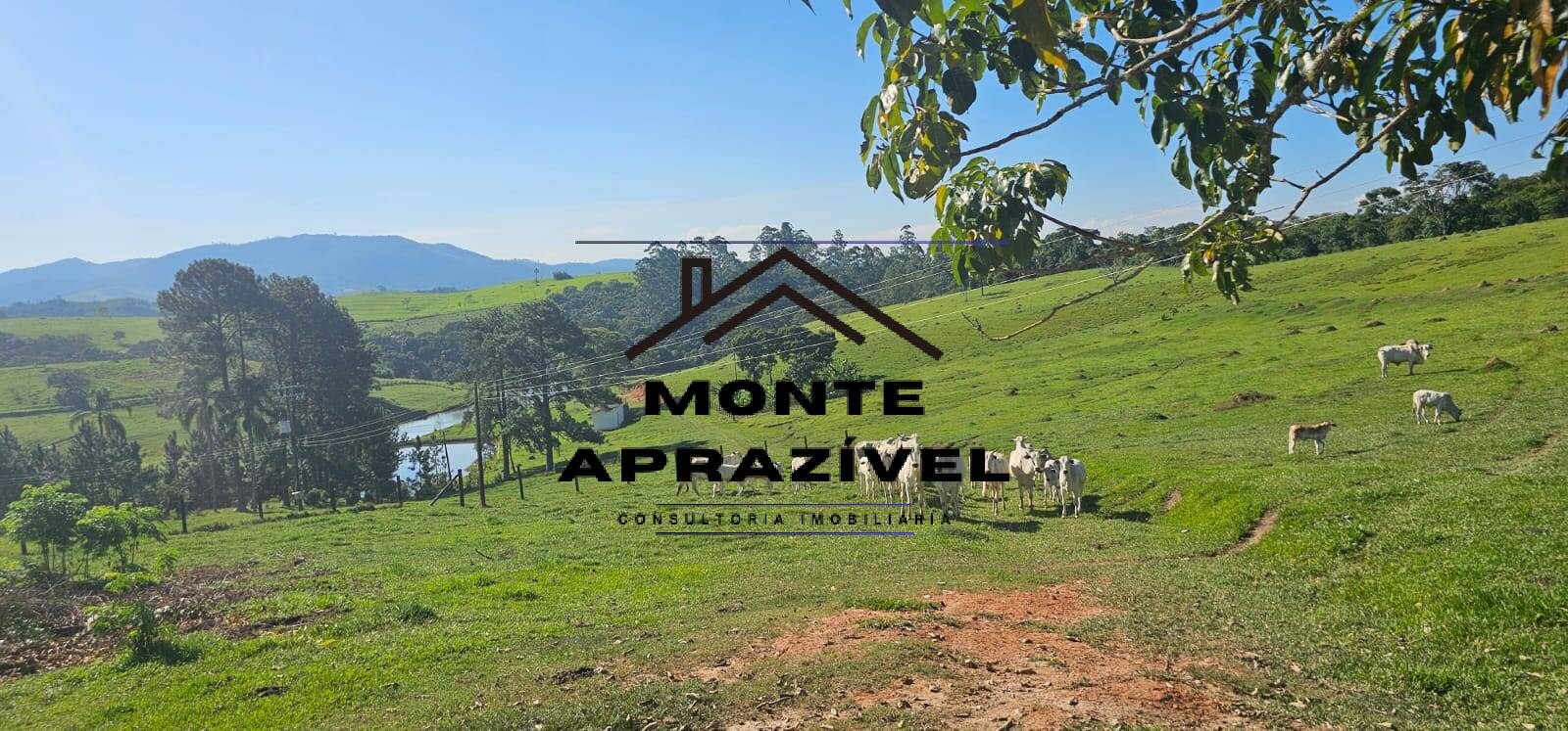 Sítio, 6 quartos, 24 hectares - Foto 22