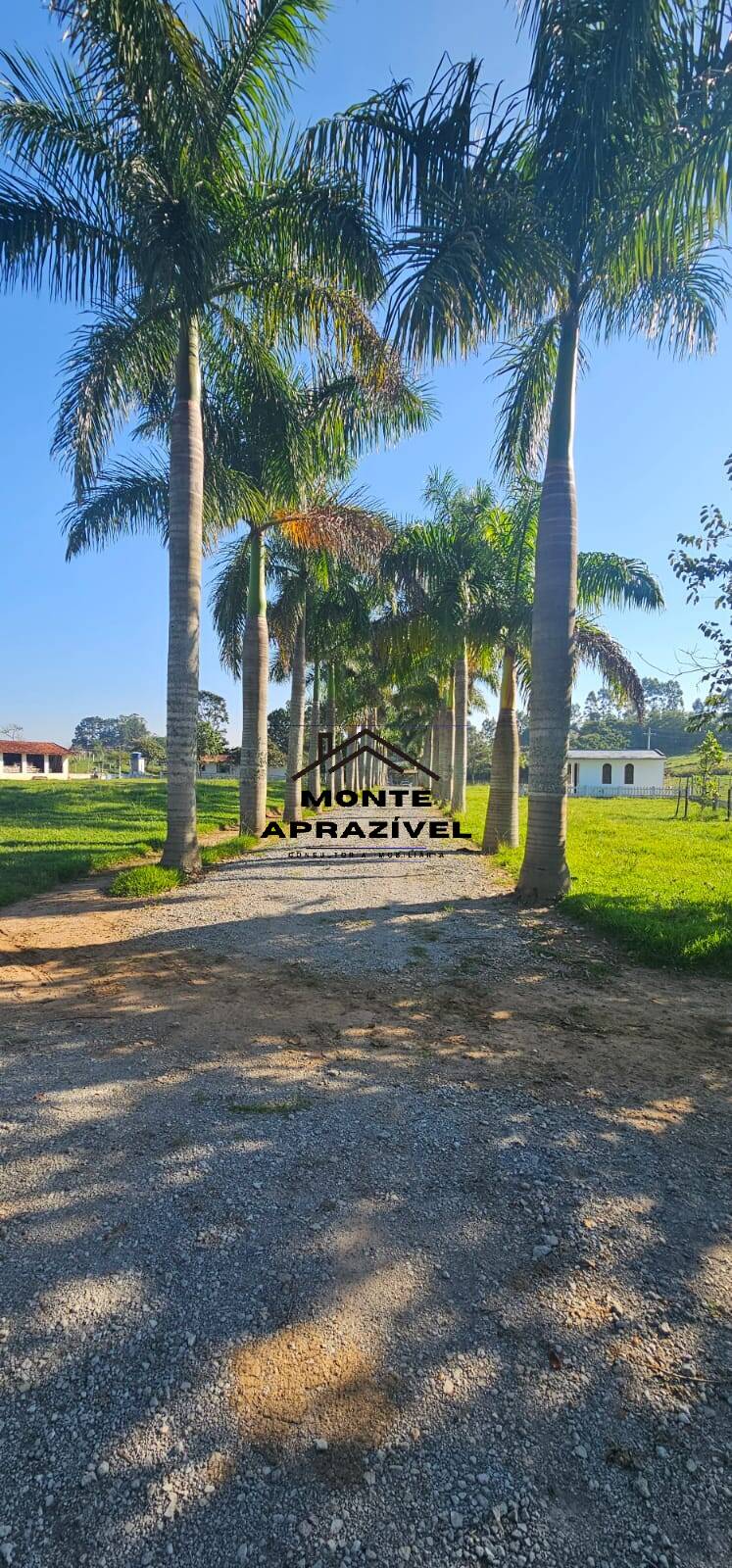 Sítio, 6 quartos, 24 hectares - Foto 23