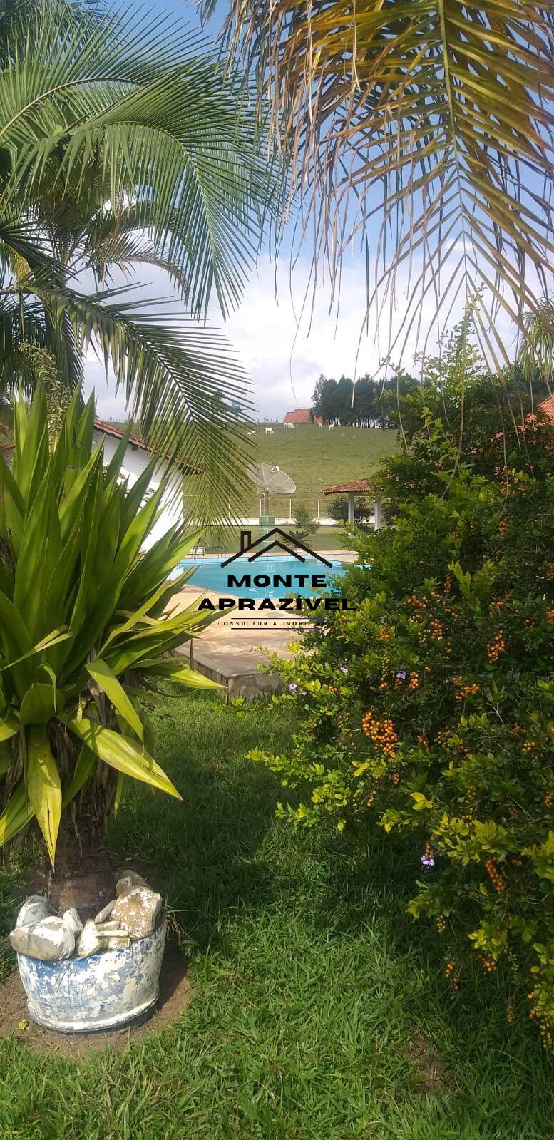 Sítio, 6 quartos, 24 hectares - Foto 36