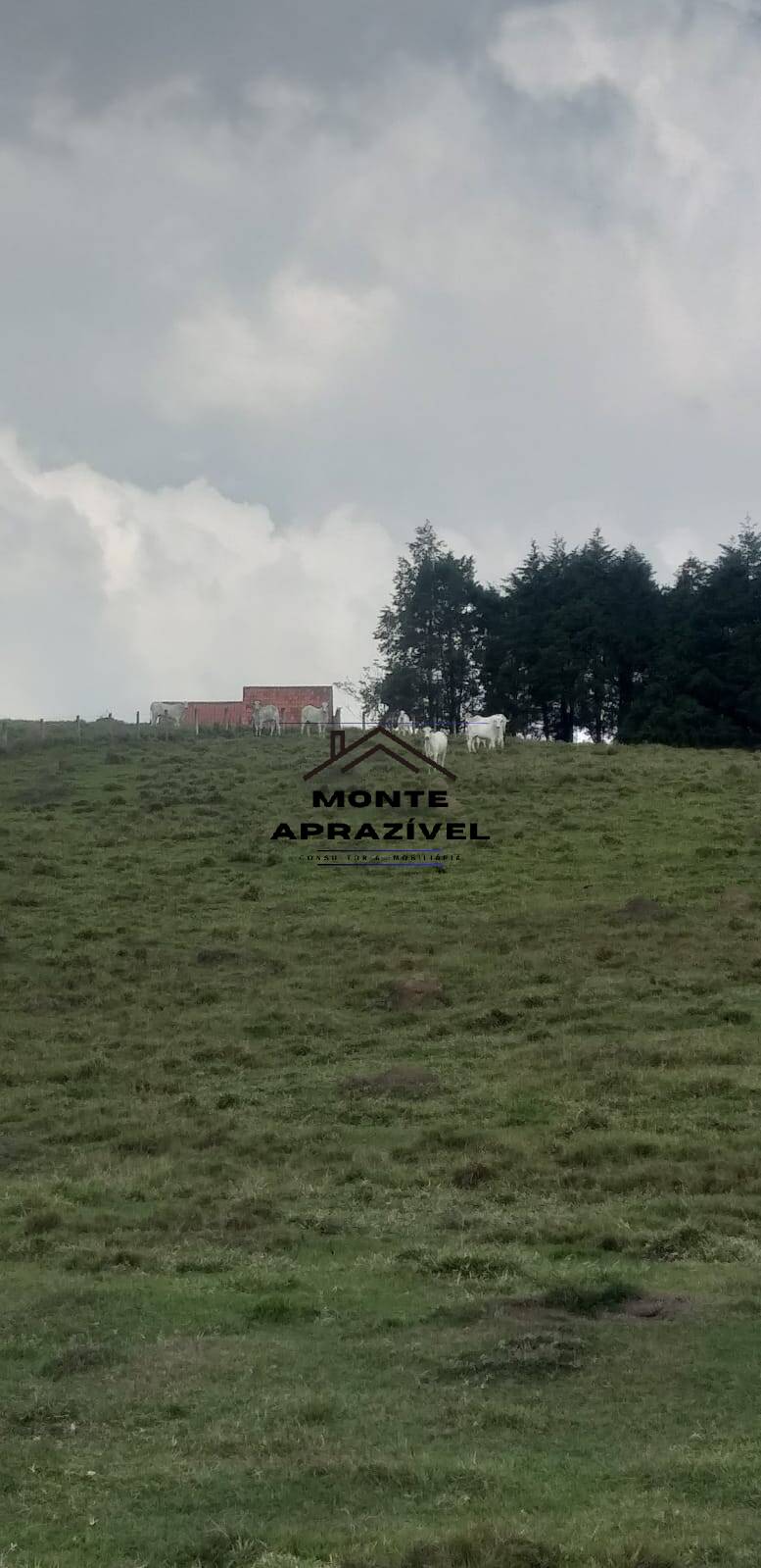 Sítio, 6 quartos, 24 hectares - Foto 37
