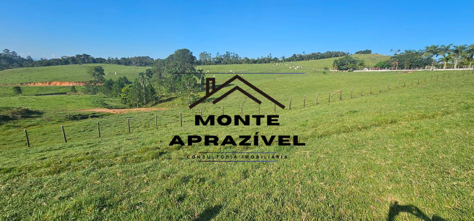 Sítio, 6 quartos, 24 hectares - Foto 41