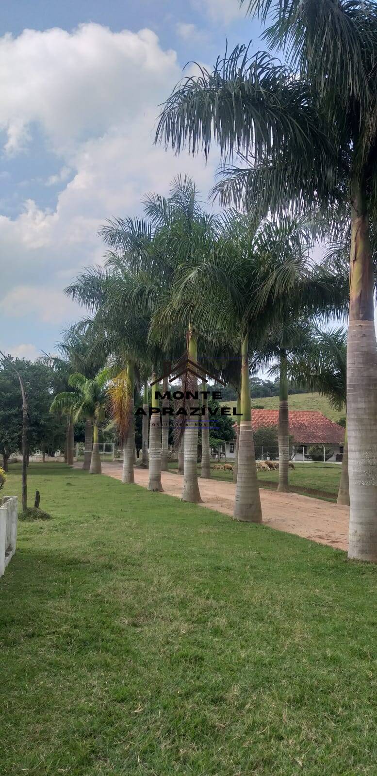 Sítio, 6 quartos, 24 hectares - Foto 49