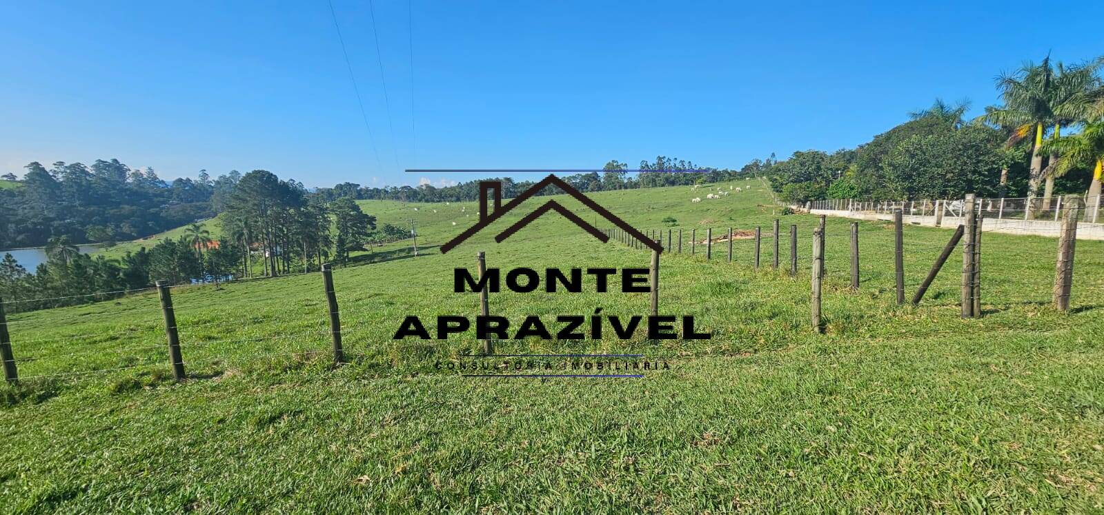 Sítio, 6 quartos, 24 hectares - Foto 58