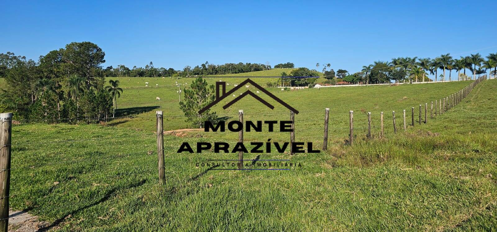 Sítio, 6 quartos, 24 hectares - Foto 62