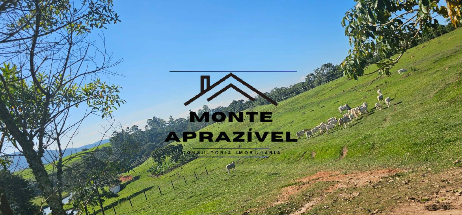 Sítio, 6 quartos, 24 hectares - Foto 71