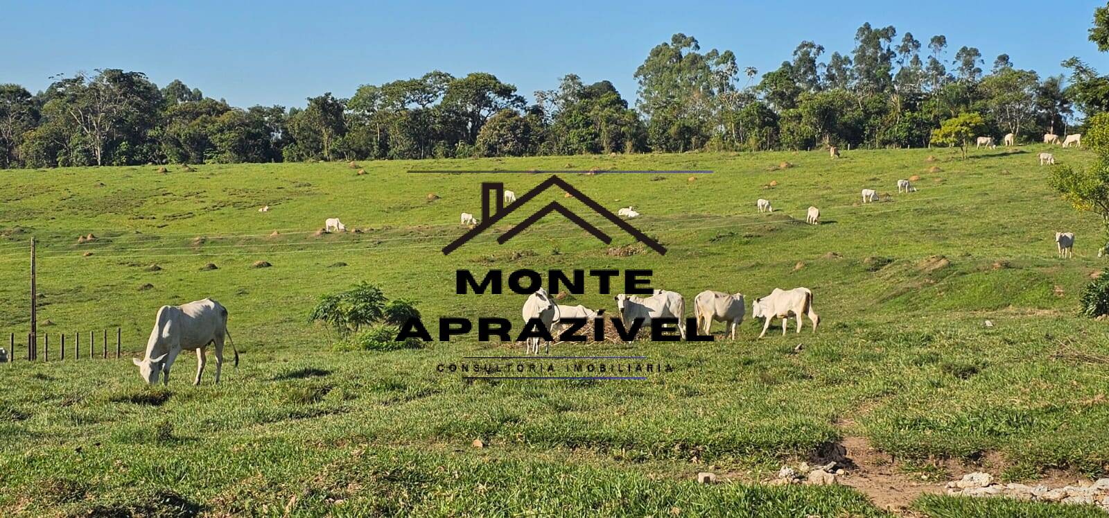 Sítio, 6 quartos, 24 hectares - Foto 77
