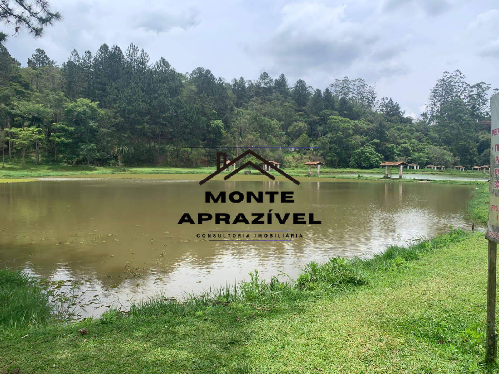 Sítio, 3 quartos, 105 hectares - Foto 5